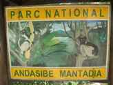 Parc National d'Andasibe-Mantadia Parc National d'Andasibe-Mantadia