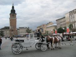 Krakow horse drawn carriage on Main Square Krakow horse drawn carriage on Main Square