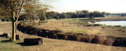 Water holes attract animals to African tented camps