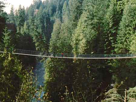 Capilano Suspensions Bridge... high above the river! Capilano Suspensions Bridge... high above the river!