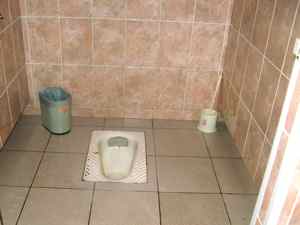 Foreign toilets - when you gotta go...