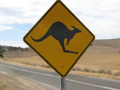 Australian road sign - watch for kangaroos