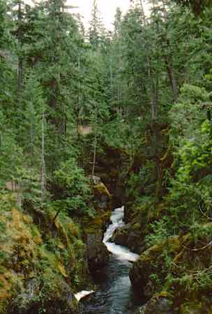 LIttle Qualicum Falls Vancouver Island
