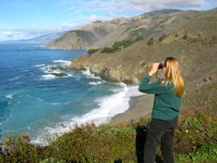 Looking for sea otters and condors along the Big Sur Coast Looking for sea otters and condors along the Big Sur Coast