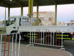 Oman-UAE Border Crossing - Stuck Behind a Camel