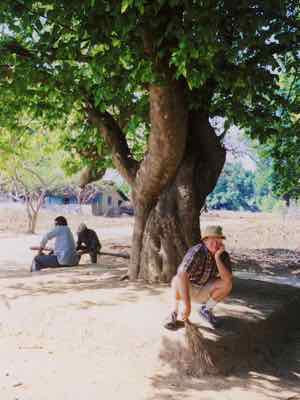 Waiting for elephant documents in India Waiting for elephant documents in India