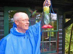 And it wasn't a fleeting glimpse. The pair sat there for 10-15 minutes. I only wish we had a better camera so we could have gotten better photos.    We also had a pair fly in and sit in the tree in front of our cabana at lunch time. Now this WAS from our room. Lucky? For sure.... but definitely spectacular!  There were lots of forest birds and hummingbirds around too... The hummingbird feeders are filled everyday, and there are several different species that buzz around you all day.