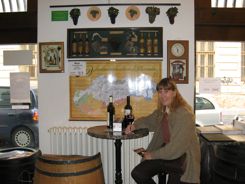 Wine Tasting in Bratislava