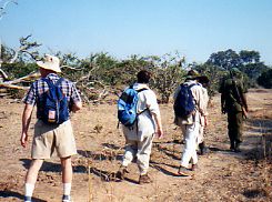 Zambia Walking Safari Zambia Walking Safari